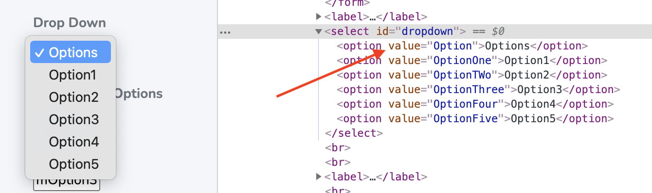 DropDown